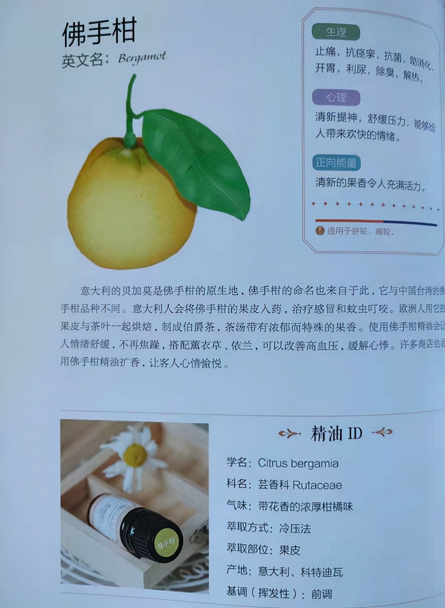 走进精油的世界做灵魂有香气的女人