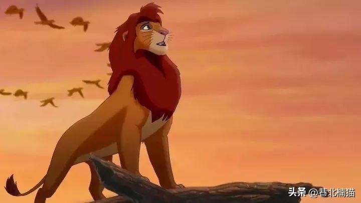 我们小时候看过的狮子王,80后童年动画狮子王