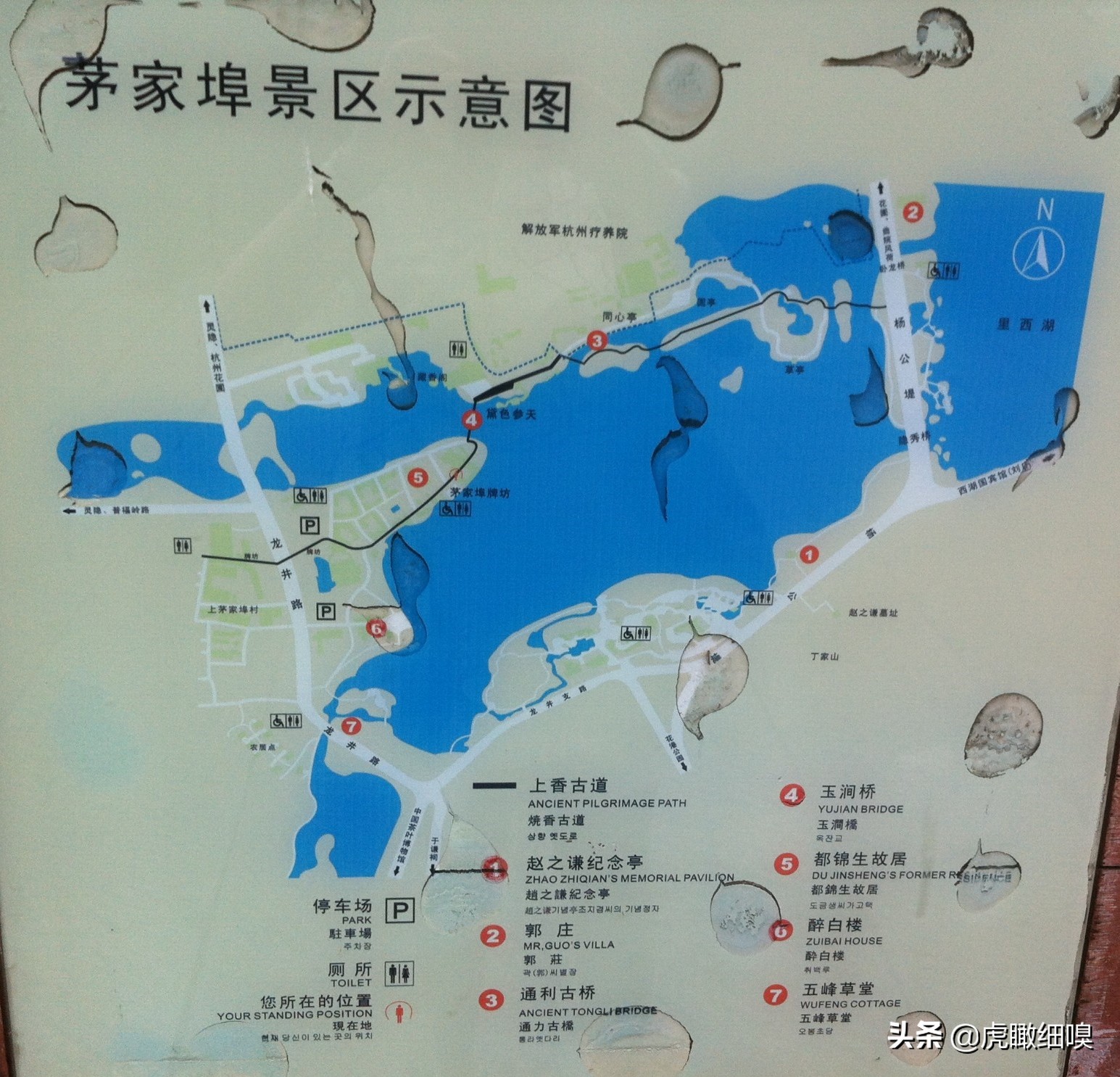 杭州最有名的茶旅,杭州盛产茶的地方有哪些