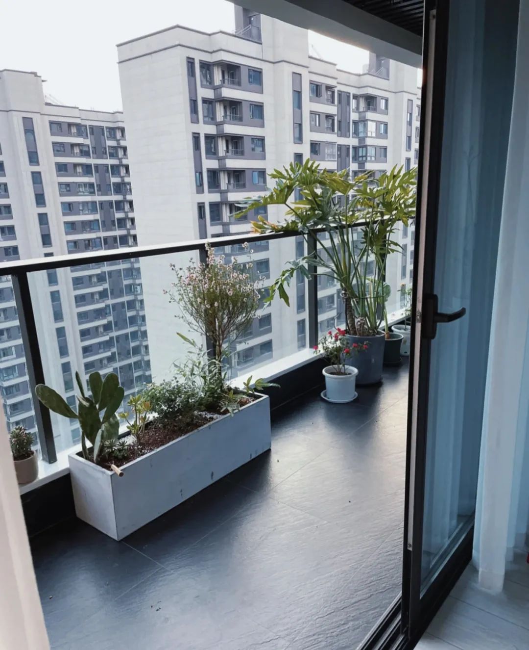 阳台砖与防腐木结合,阳台花园铺砖还是防腐木好