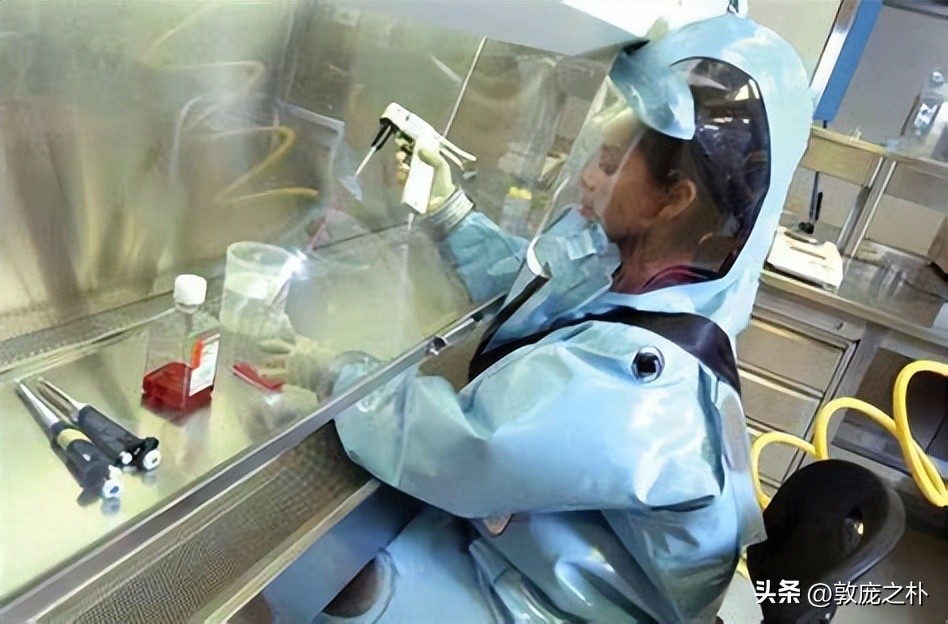 地球上最致命的四种病毒,地球史上最可怕的十种病毒