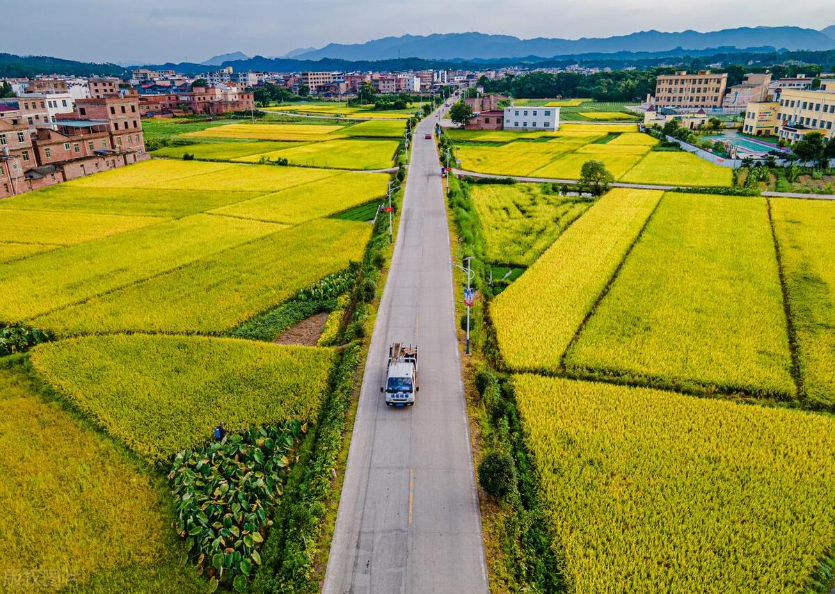全国猪价补贴政策,下半年猪价补贴