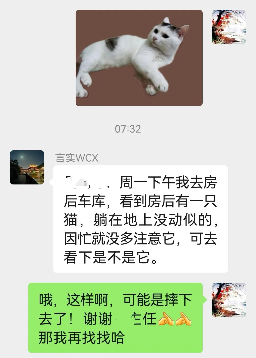 不辞而别的咪咪