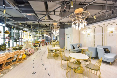 亲子乐园餐厅加盟,亲子早教品牌加盟