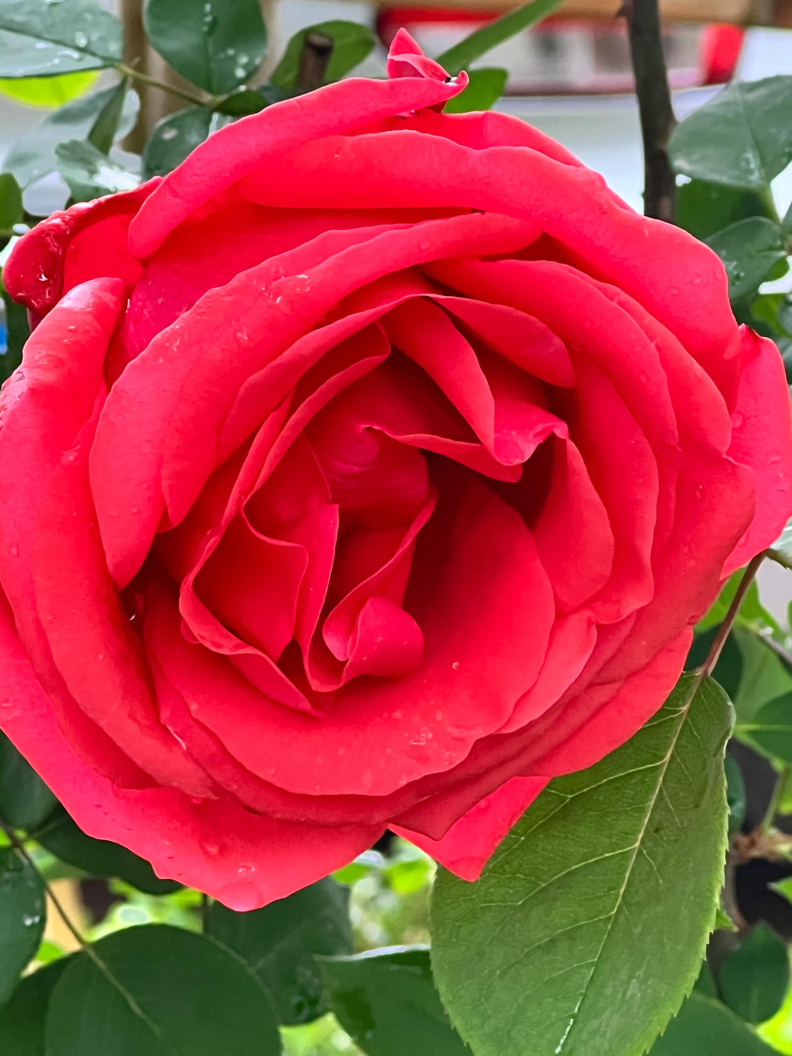 慧眼识得真金,人身上隐藏着神秘的“宝藏”,只是没有人去识别