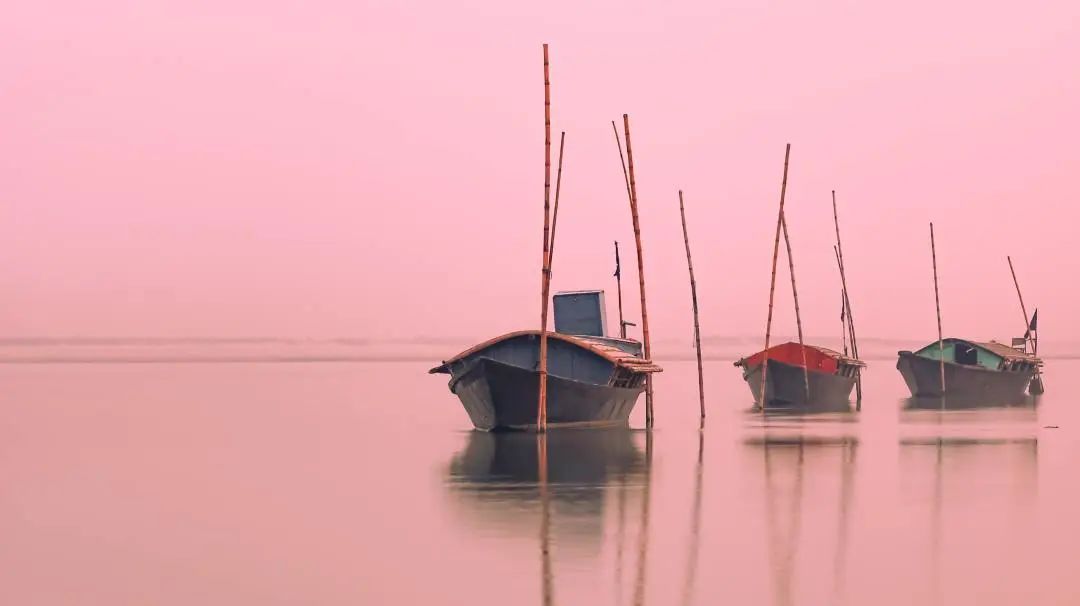 如何创建一个有效的组织,如何才能创建高效团队