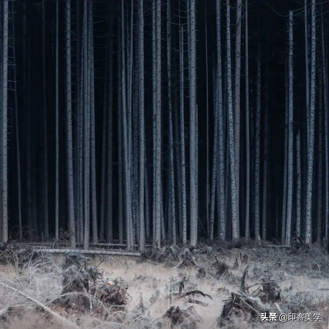 值得收藏的100张照片,100幅精品摄影作品欣赏