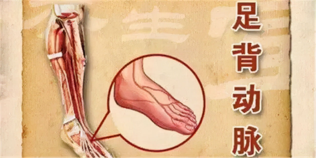 怎样能看出脚的血管硬化,脚上血管突出青筋暴起看什么科