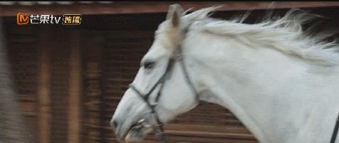 三体国产电视剧拍了几部,电视剧推荐9.0以上评分三体