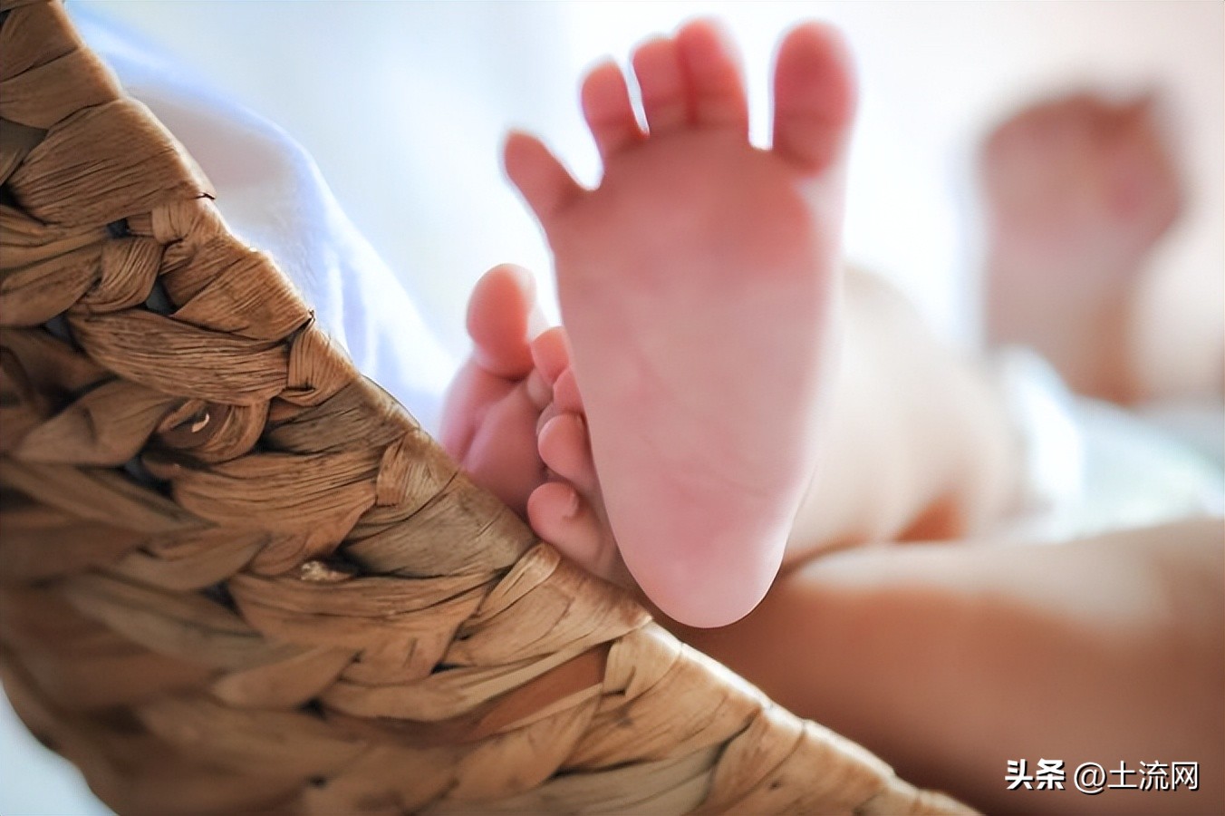 三胎国家补贴从什么时候开始,2022年河北省三胎补贴价格表