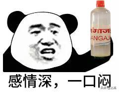 印度狂欢节,参加完活动有种空虚感