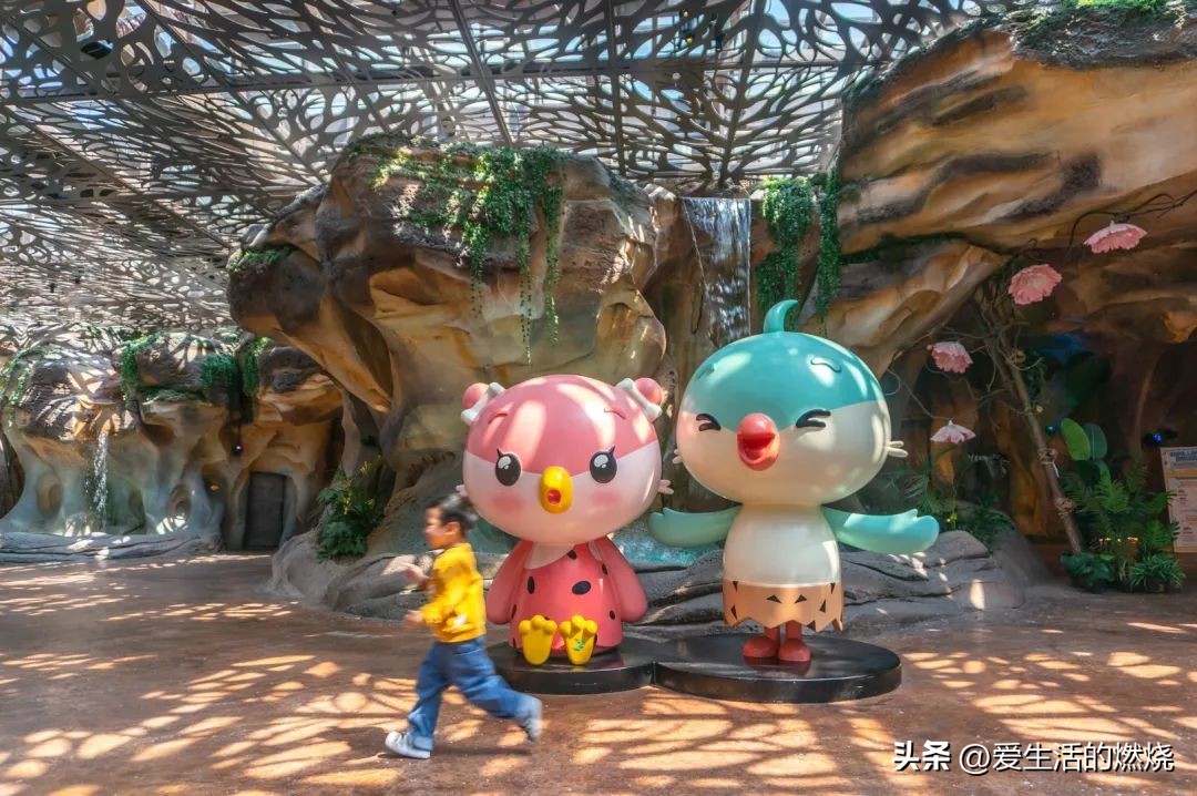 杭州森泊开元度假酒店不含门票,杭州开元森泊度假酒店存在的问题