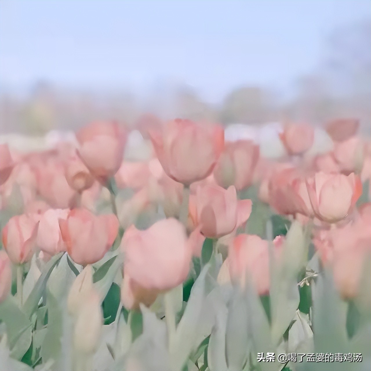 9个可以最适合免费自学的网站,7个完全不收费的高质量自学网站