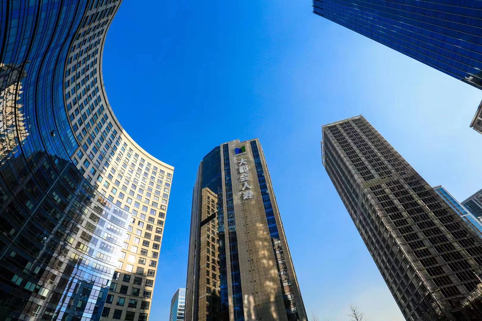 开辟职涯“新视角”，打造寿险“新生代”