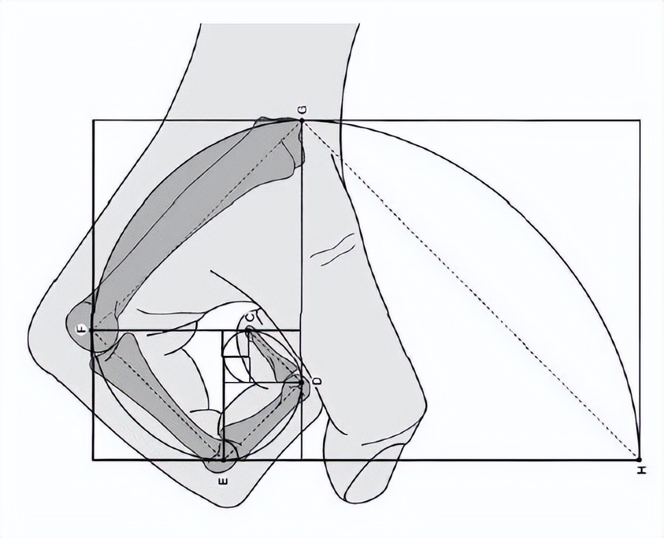 上帝的数字是20,上帝的数字代码