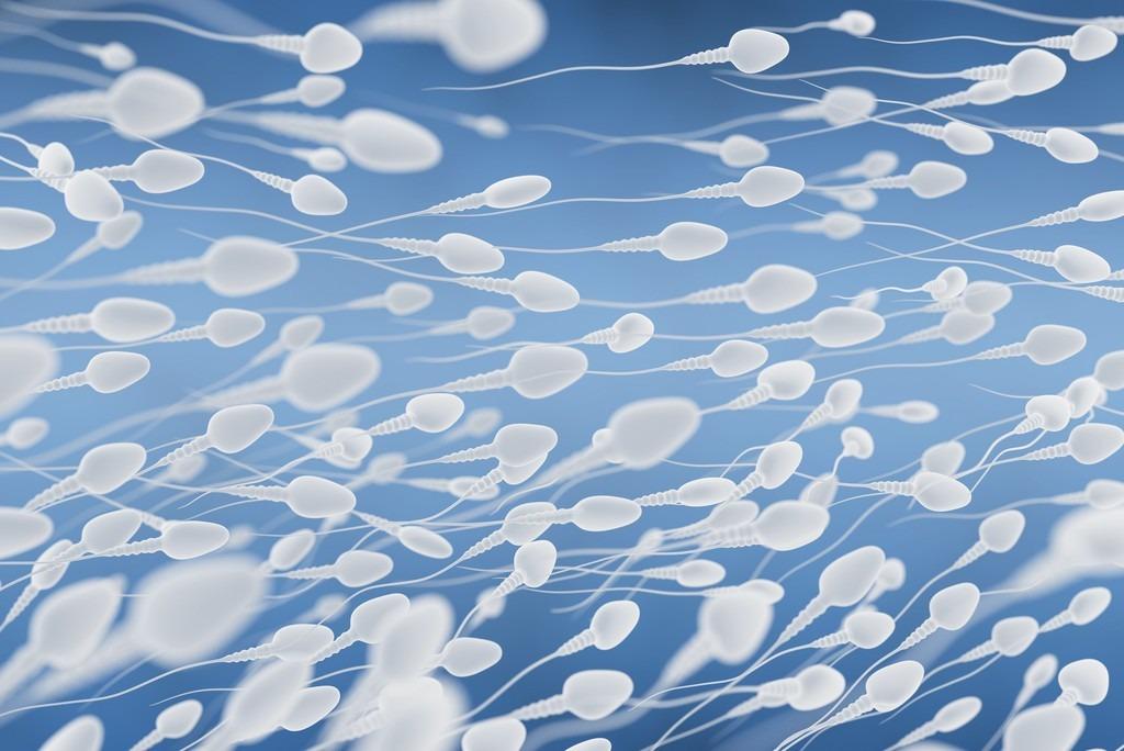 进入女性体内后，没“受精”成功的精子都去哪儿了？既好笑又心疼