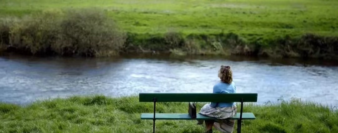 美国影片《布鲁克林》多次出现爱丽丝的定格画面有什么目的？