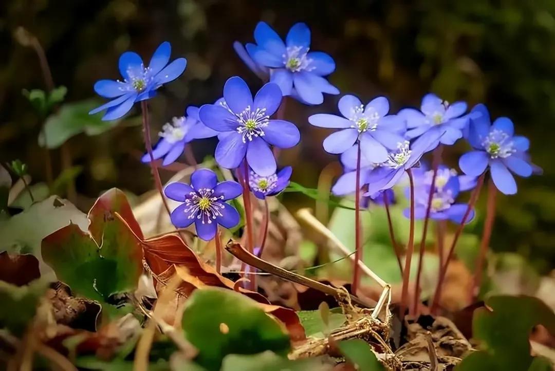 月入3000元工薪阶层生活安排,月薪3.4千家庭怎么过