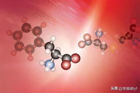 尸臭会有多臭,尸臭有多难闻问答