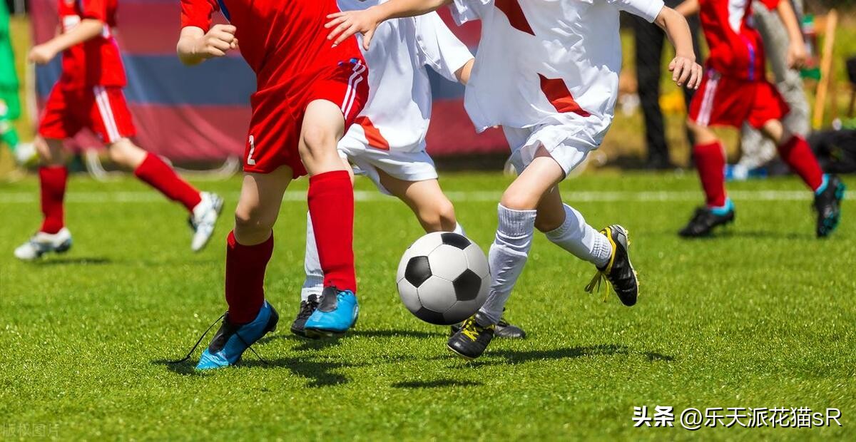 中国足协反腐结果,中国足协贪腐案处理结果