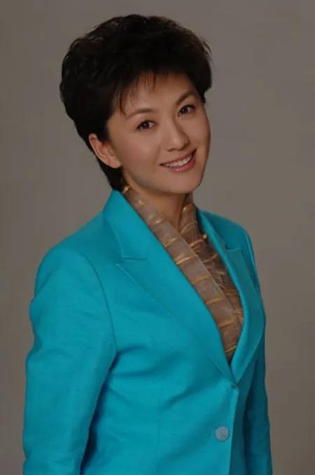 央视新闻联播女主持人海霞,央视主持人海霞气质照片