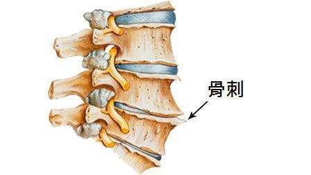别把衰老当成病过度治疗,衰老的最佳治疗方法