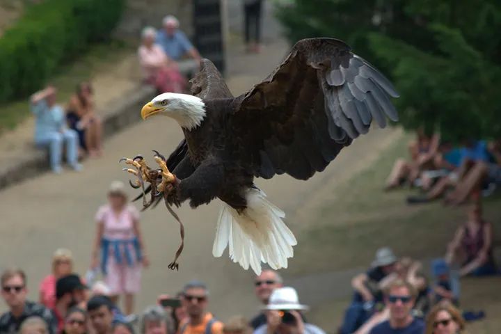 海关助力新产品出口,海关助力首批产品出口