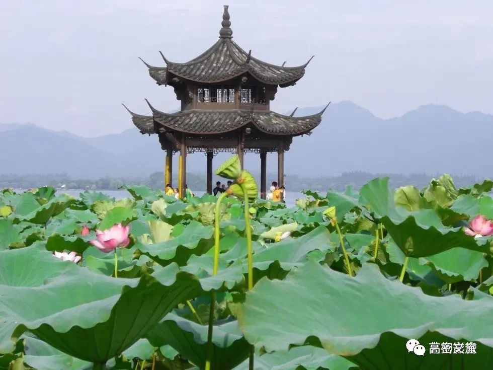 潍坊东亚文化之都,山东潍坊高密的古城