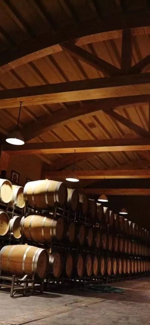 *疆新**多姿多彩的民宿，总有一款适合你！