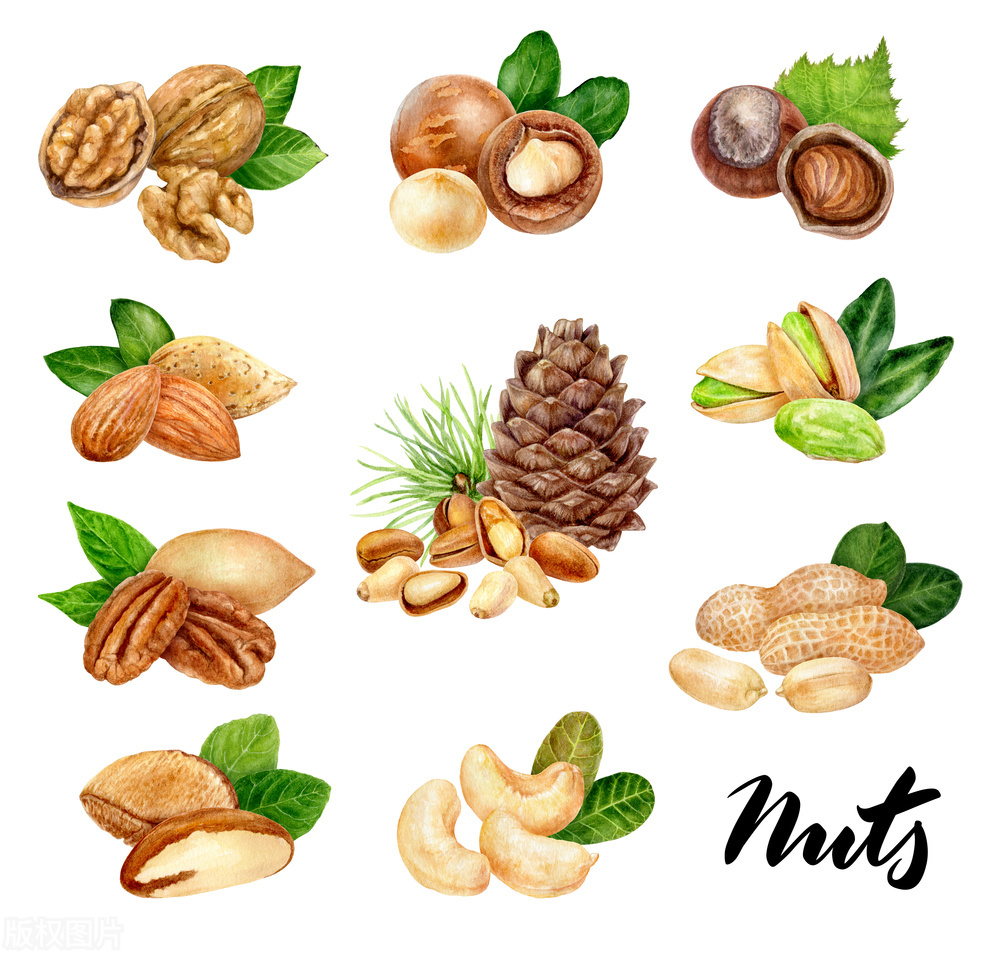 三只松鼠创业史,三只松鼠各种坚果销售情况