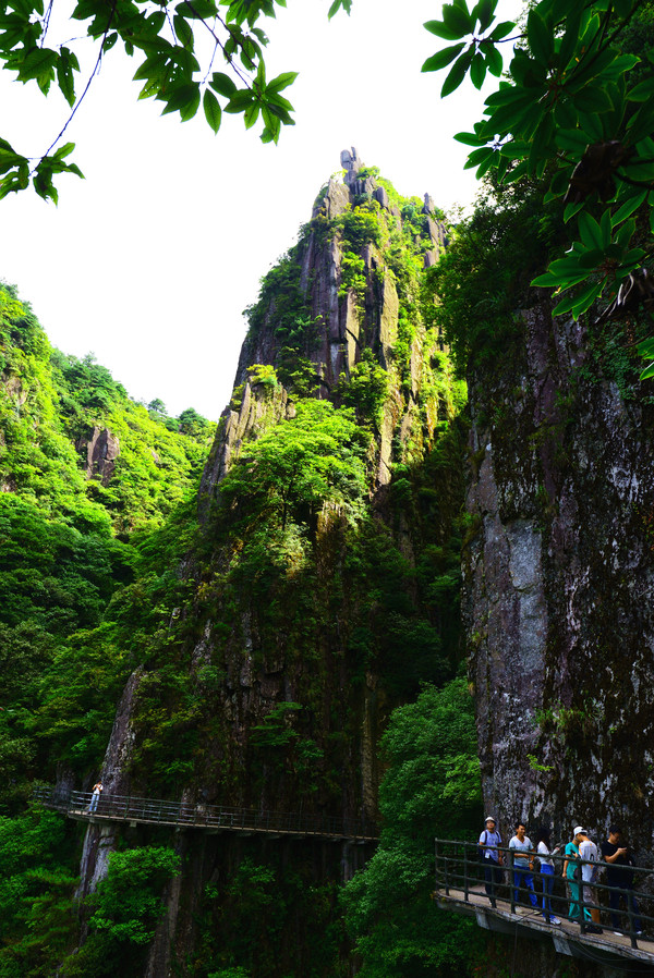 羊狮慕与张家界哪个好,江西明月山和羊狮慕哪个更值得去