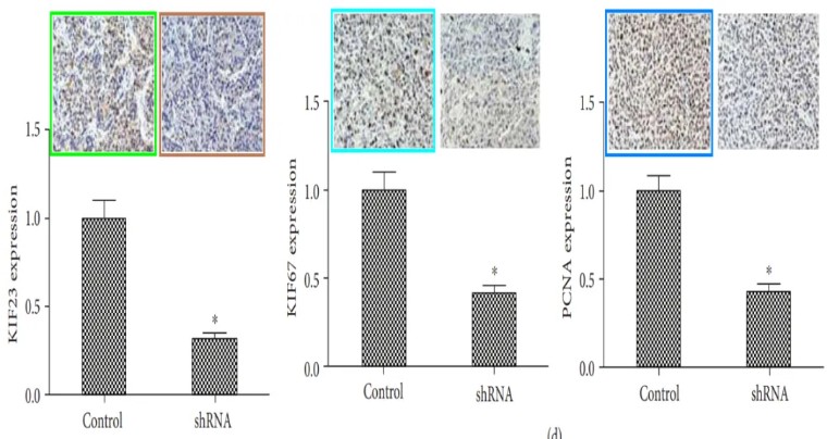 天津医科大学第二医院的9分论文遭评议！疑似与同期论文多图重叠