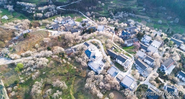 十堰著名产业,十堰是汽车之乡吗