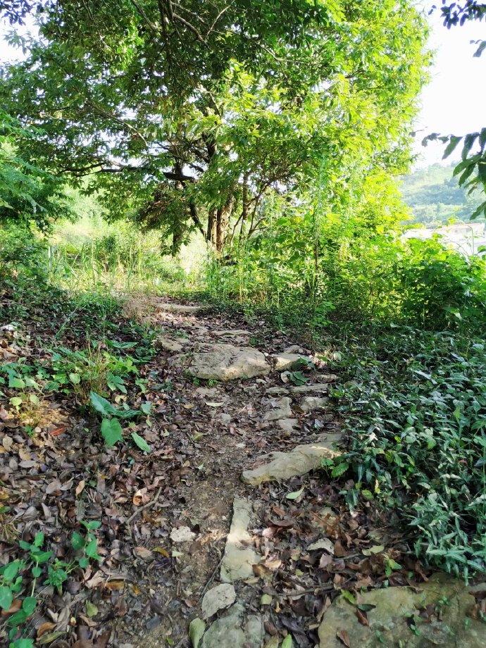 郴乐古道之水头江宜乐古道--广东省乐昌市庆云镇