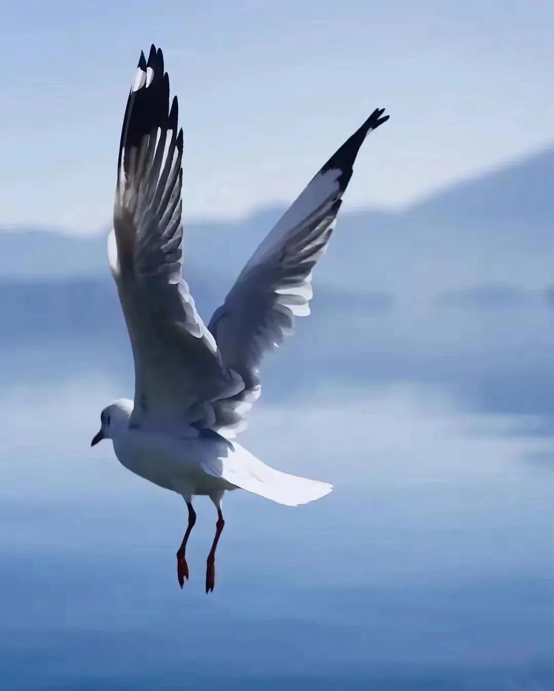 一张卡就能玩桌游,一张卡玩遍全国