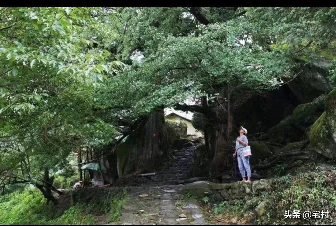 访谈|旧舍民宿创始人雷鸣:一个导演的艺术乡建