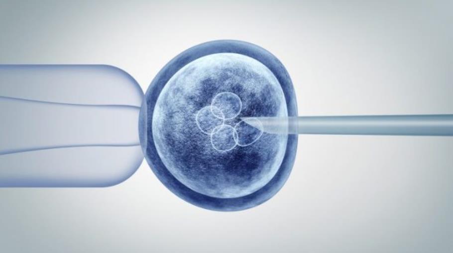 人死精子也能存活吗,人死了精子可以存活吗