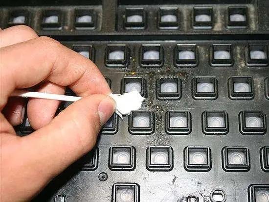 鼠标坏了自己在家如何动手修？自己动手，修理鼠标的步骤！