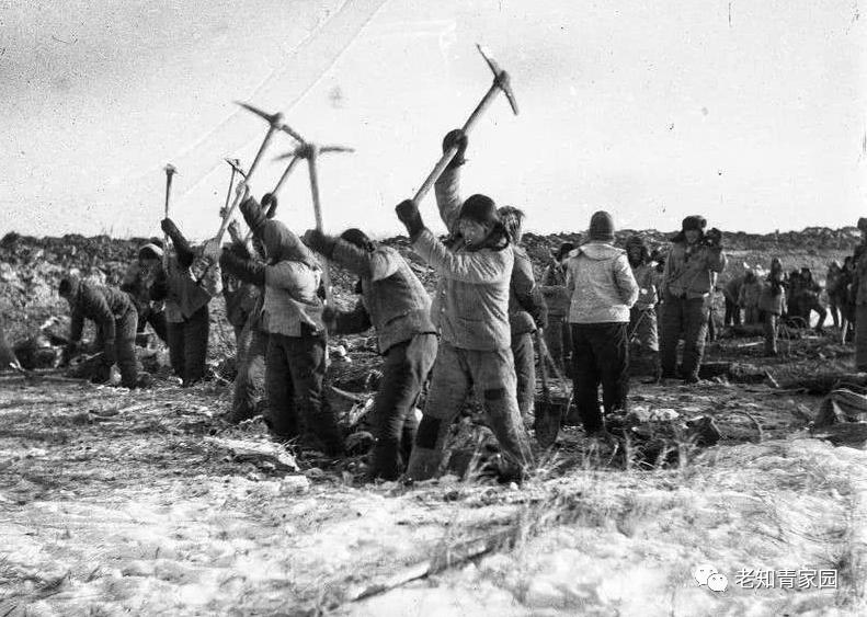 北大荒知青生活叙事诗——北大荒“游击词”100篇