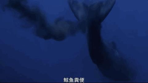 豆瓣排名第五摄人心魄的好片,豆瓣8.6分今年看过最良心的电影