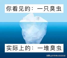 在家里发现小黑颗粒是虫卵吗,墙上有虫卵很小颗粒
