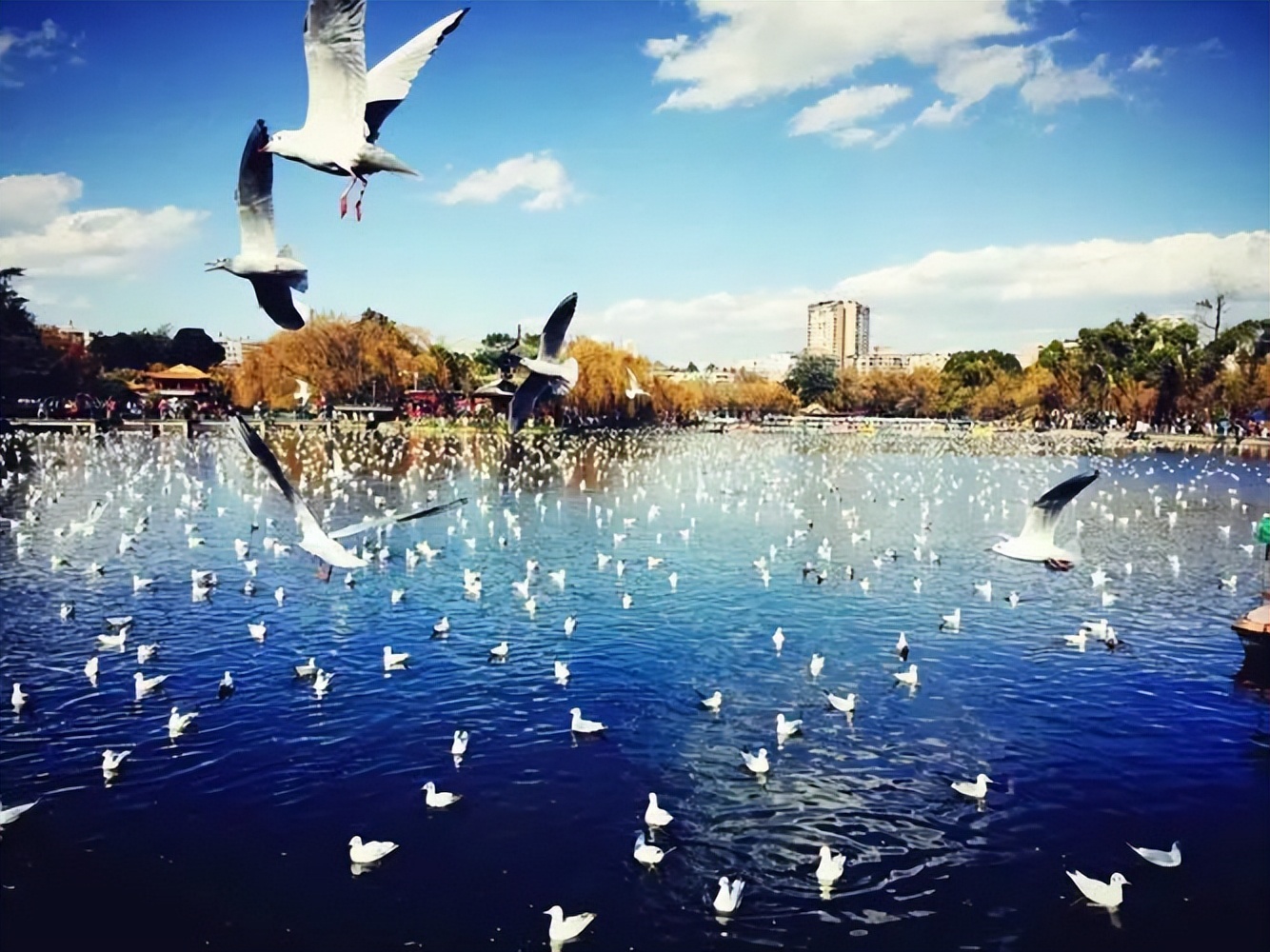 来看看贵安周边的美景,贵安最值得去的景点