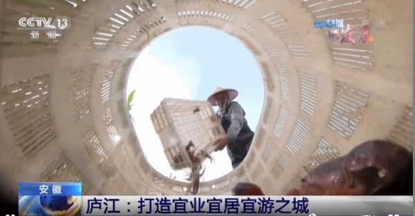 庐江打造两城三区是什么,走进县城看庐江