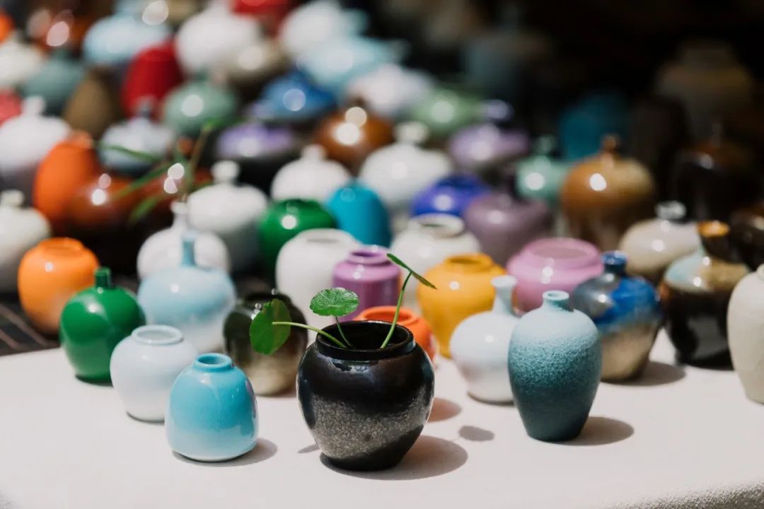 定了，今天起！那里很美，很温州