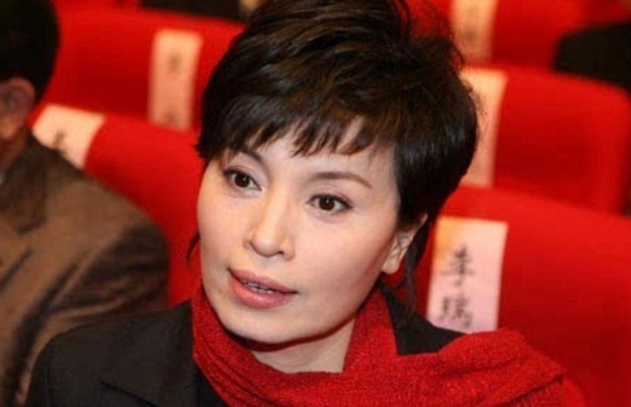 央视主播李瑞英儿子两次坠楼,央视主播李瑞英儿子坠楼后怎样了