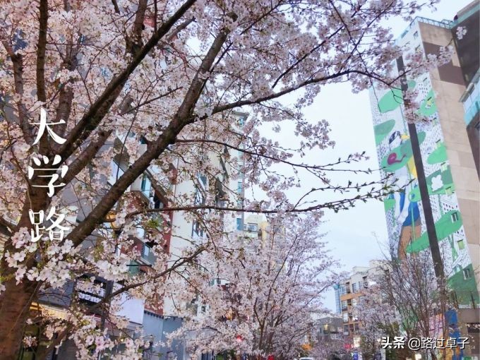 上海地铁旅游景点攻略,上海地铁打卡攻略