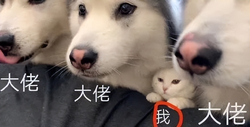 段永平卖出腾讯股票,段永平又买腾讯了吗