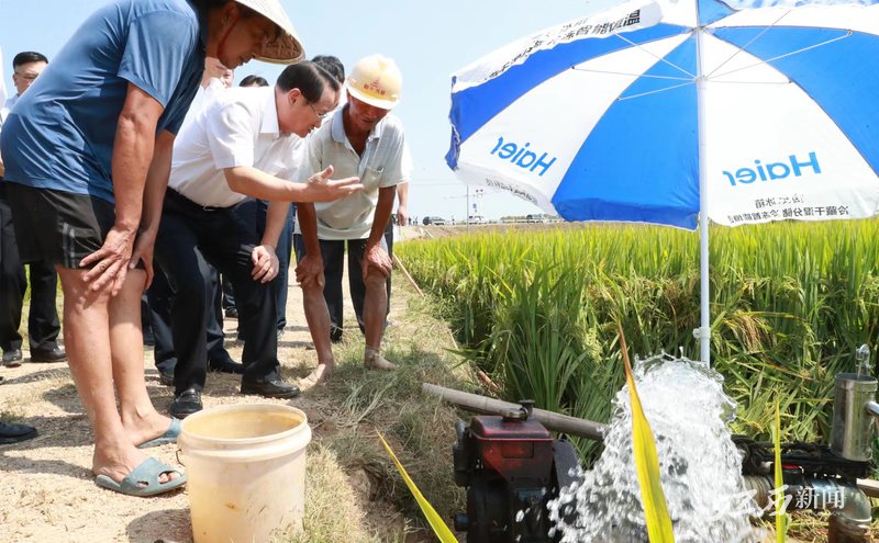 省委书记易炼红在丰城调研：以县域之拼搏助力全省出彩，以县域之突破支撑全省发展