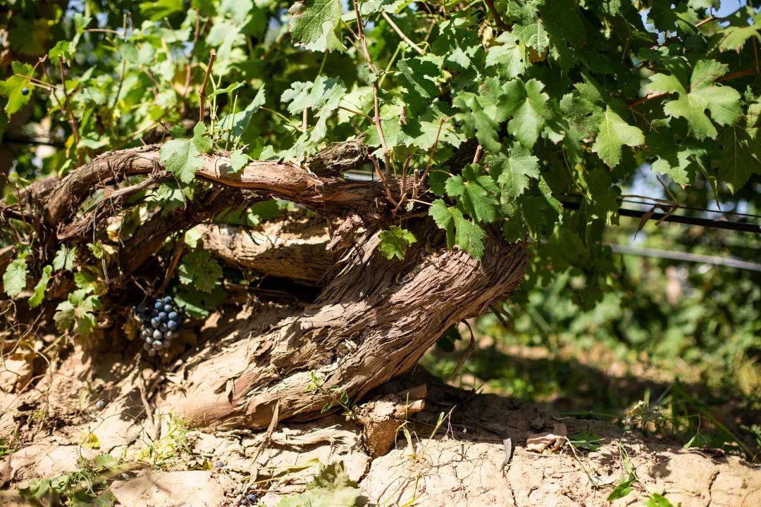 是的我们在一起,是的我们在一起了