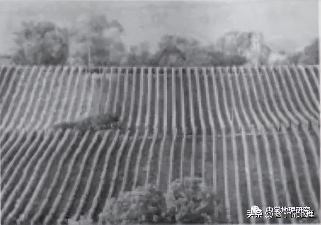 阳坡阴坡的区别,地理怎么区分阳坡阴坡